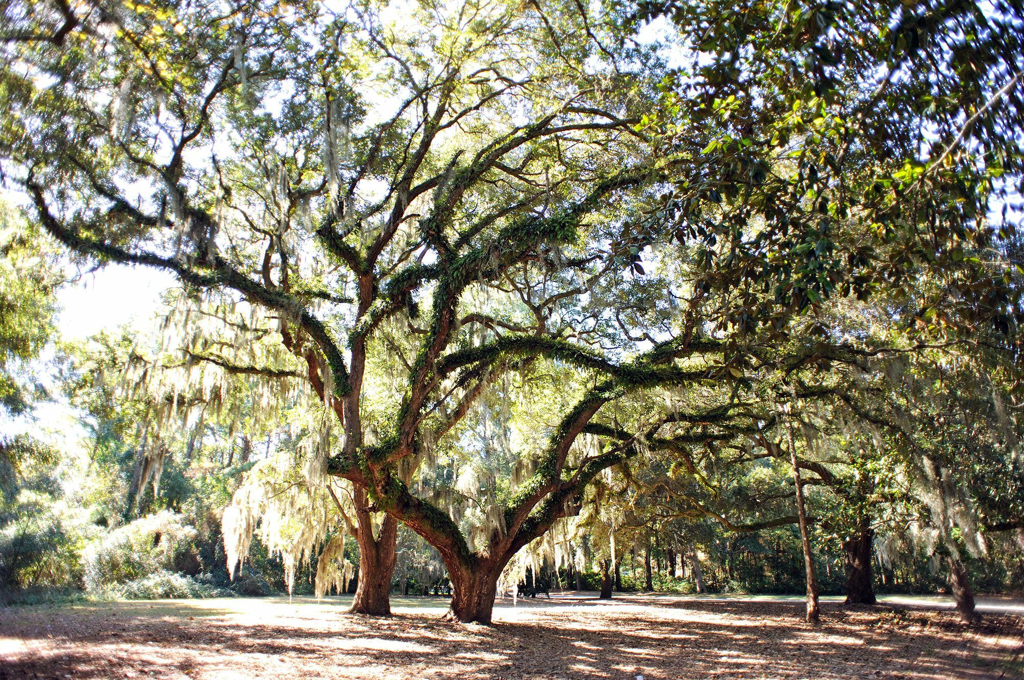 Hotel Pawleys Plantation Golf & Country Club Pawleys Island Exterior foto